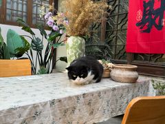 -猫的天空之城概念书店(苏州平江店)