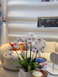 -洁铭新加坡医美