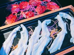 手切鸭胗花-重庆高老九火锅(万象城店)
