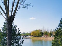 -东郊湿地公园