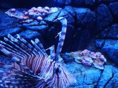 -成都浩海立方海洋公园