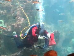 -西雅图水族馆