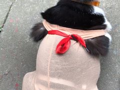 -灵美宠物诊所