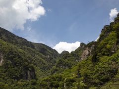 -牛背梁国家森林公园