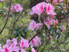 -广州市白云山风景名胜区