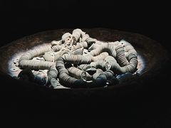 -沈阳金融博物馆