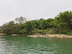 -九曲溪竹筏码头