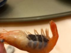 -沙龙酒家