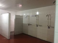 -小海豚国际游泳培训(长宁龙之梦酒店)