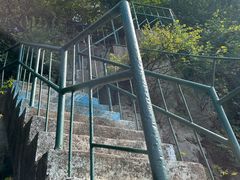 -抱犊崮国家森林公园