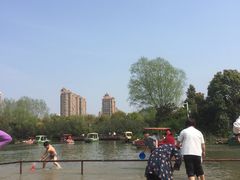 -青枫公园