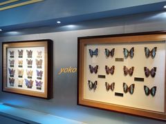 -上海昆虫博物馆