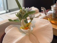 -云·酷 Atmosphere(国贸大酒店)