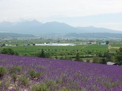 -富田农场