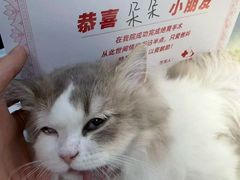 -御宝贝24h宠物医院·转诊中心·CT核磁血透中心(厦门总院)
