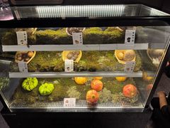 -滇野云南野生菌餐厅(陕西南路店)