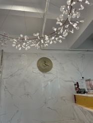 -潘多拉Hairsalon