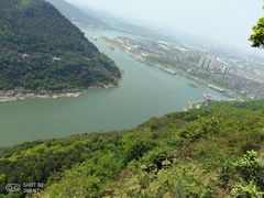 -铁山坪森林公园