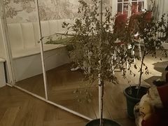 -秀儿家の小确幸花园西餐厅
