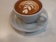 -Soloist 独奏公司(798店)