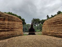 -平湖九龙山旅游度假区