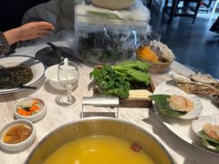-汤城·料青山