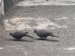 -晓港公园