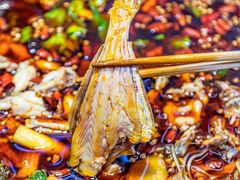 -蛙鱼潭美蛙鱼头火锅(解放碑瑞富广场店)