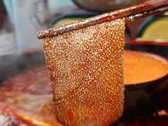 -三江两海老火锅(北京首店)