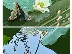 -大宁公园