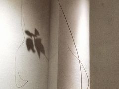 -觅见咖啡馆(艺展中心店)