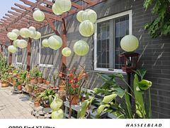 -100家灵感仓库·DIY团建(什刹海店)