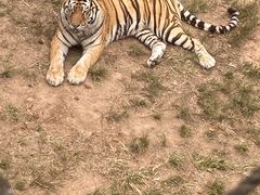 -西霞口神雕山野生动物世界