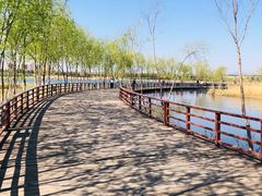 -绿堤公园