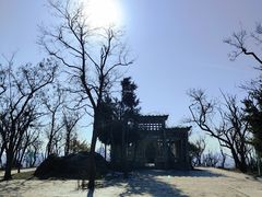 -北岭山森林公园