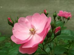 -杭州黄龙洞