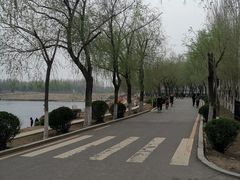 -丁香湖公园