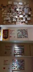 -明宇集团·积木枝芽母婴健康管理中心(天府店)