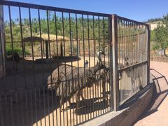 -鄂尔多斯野生动物园