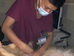 -美联众合动物医院·24h京西诊疗中心