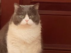 -MOLLY'S萌宠生活馆