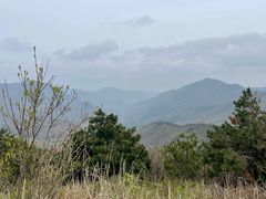 -浙西天池景区
