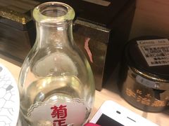 -大起水产回转寿司(道顿堀店)