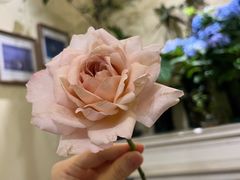 -花二家·生活馆(六运小区店)