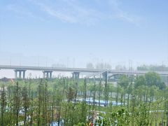 -丹水桥地锅鱼·翘嘴鲌·地方特色全鱼宴(丹江口大坝店)