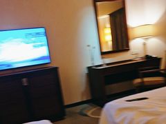 -惠州康帝国际酒店