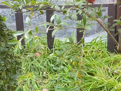 -牛八宝桂林米粉(八里庄店)