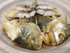 砂锅焗黄花鱼-1937青岛老味道·海肠捞饭·青岛菜(大鲍岛栈桥店)