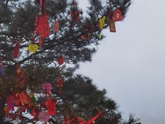 -安徽天堂寨风景区