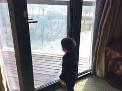 -洪湖悦兮半岛国际温泉度假村